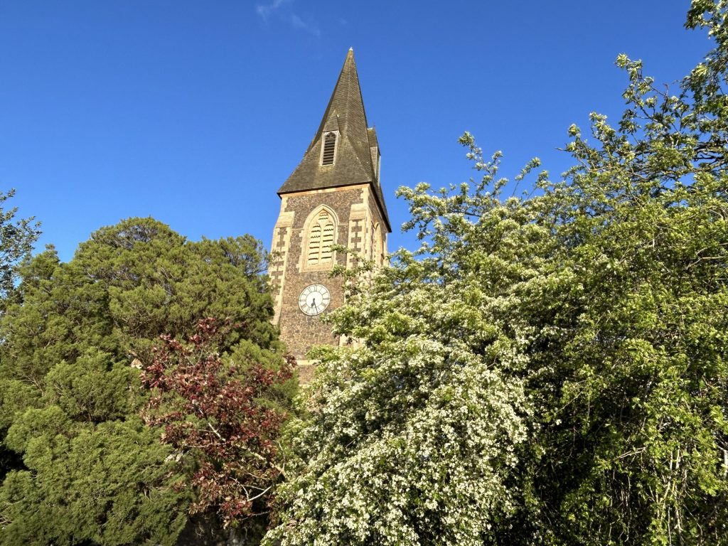 View of the church tower surrounding by blossom trees