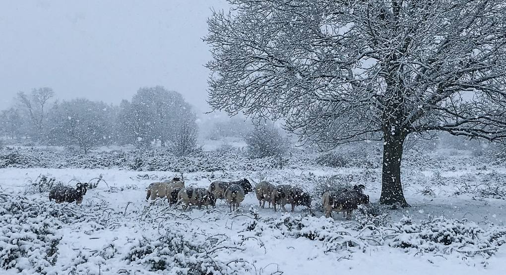 Over 16s competition winner: photo by Jan Szymanski