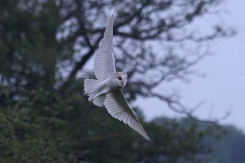 Under 16s winner: photo by Zach Morgan